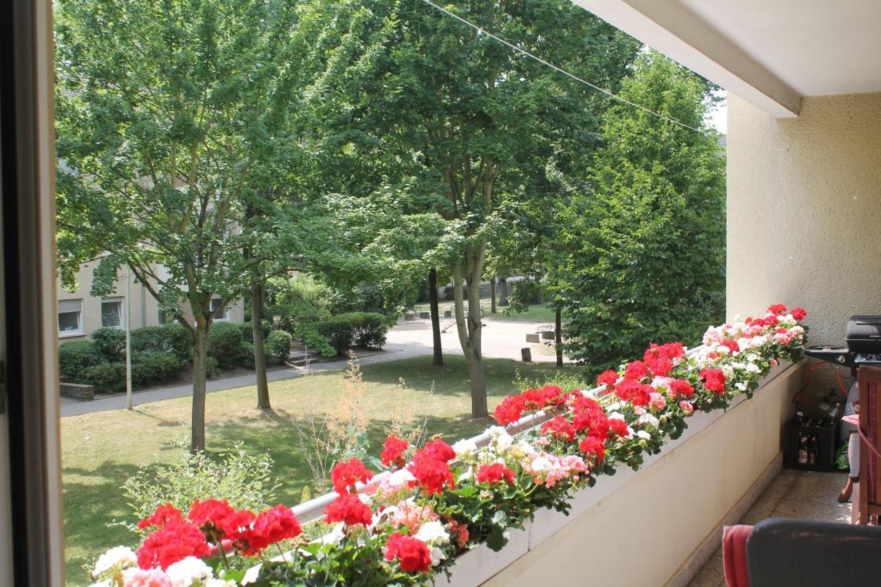 Bed & Breakfast Bonn 24 Mai Bis14 Juni Mit Hund In Der Wohnung Ngoại thất bức ảnh